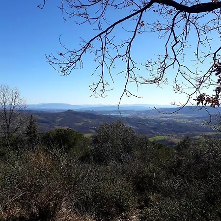 Il Vecchio Frantoio Holiday home