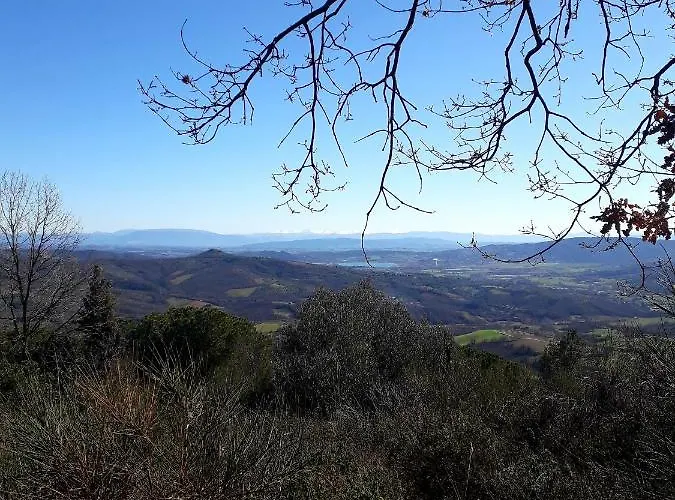 Il Vecchio Frantoio Casa de Férias